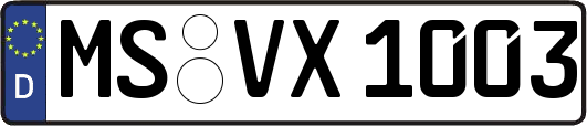 MS-VX1003
