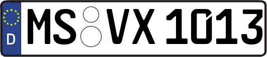 MS-VX1013