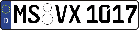 MS-VX1017