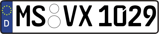MS-VX1029
