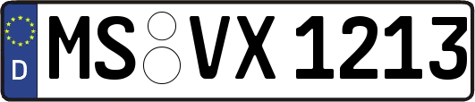 MS-VX1213