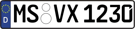MS-VX1230