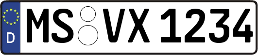 MS-VX1234