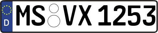 MS-VX1253