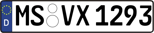 MS-VX1293
