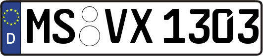 MS-VX1303