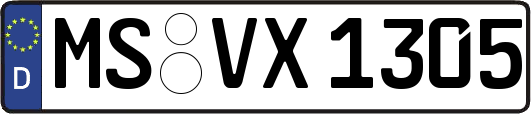 MS-VX1305