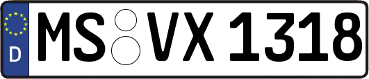 MS-VX1318