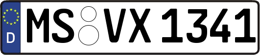 MS-VX1341