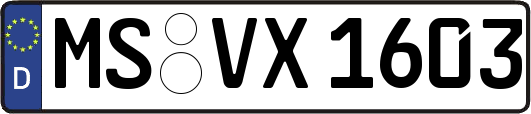 MS-VX1603