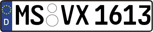 MS-VX1613