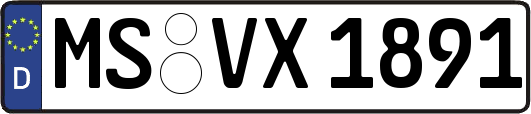 MS-VX1891