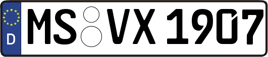 MS-VX1907