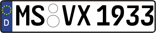 MS-VX1933