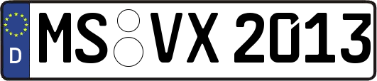 MS-VX2013