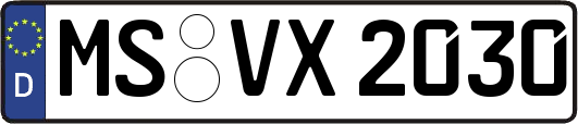 MS-VX2030