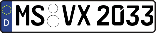 MS-VX2033