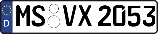 MS-VX2053