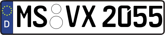 MS-VX2055