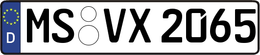 MS-VX2065