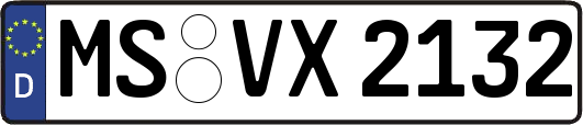 MS-VX2132