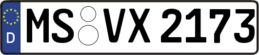 MS-VX2173