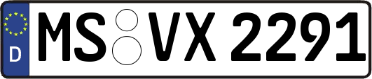 MS-VX2291