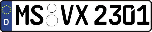MS-VX2301