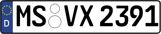 MS-VX2391