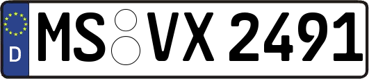 MS-VX2491