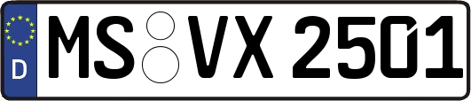 MS-VX2501