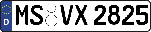 MS-VX2825