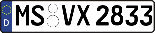 MS-VX2833