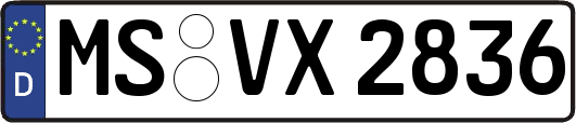 MS-VX2836