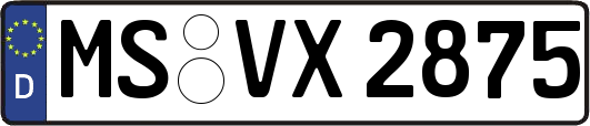 MS-VX2875