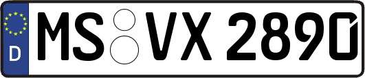 MS-VX2890