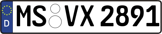 MS-VX2891