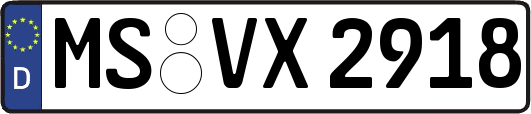 MS-VX2918