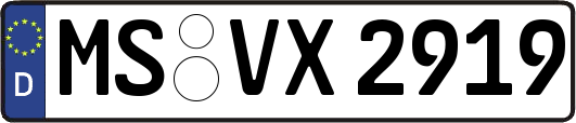 MS-VX2919