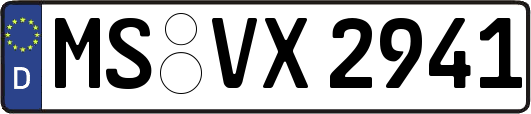 MS-VX2941