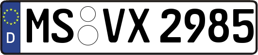 MS-VX2985