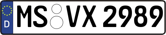 MS-VX2989