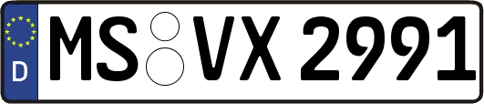 MS-VX2991