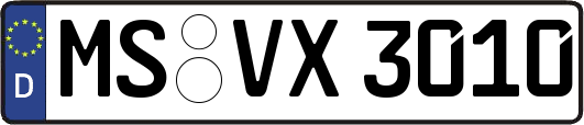 MS-VX3010