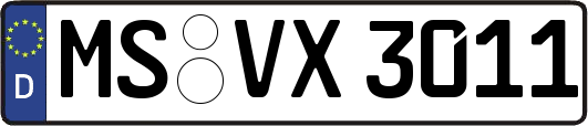 MS-VX3011