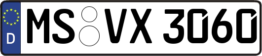 MS-VX3060