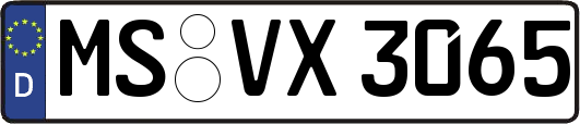 MS-VX3065
