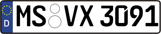 MS-VX3091