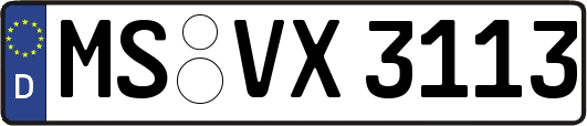 MS-VX3113