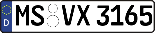 MS-VX3165